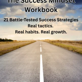 The Success Mindset Workbook